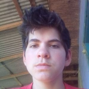 Profile Picture of Alex Freese (@AlexFreese5) on Twitter