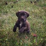 Profile Picture of Autumn von Goodman (@autumn_von_goodman) on Instagram