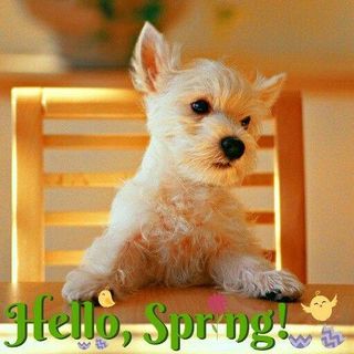 Profile Picture of Joanne Helstrom (@joanne.helstrom.1) on Facebook