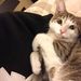 Profile Picture of wenhan zhang (@wenhan236) on Pinterest