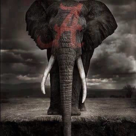 Profile Picture of Terry Phillips (@terryp0807) on Poshmark