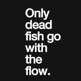 Profile Picture of Matt Pamperin (@DaBASEMAN) on Twitter