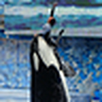 Profile Picture of Romar Duran (@romar duran) on Flickr