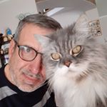 Profile Picture of Mark Alberghini (@markalberghini) on Instagram