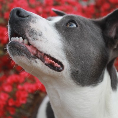 Profile Picture of Bruce Heath (@Bruce_the_PHA) on Twitter