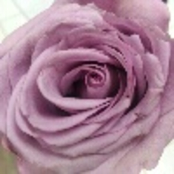 Profile Picture of Julee Freeman (@rnjulee) on Poshmark