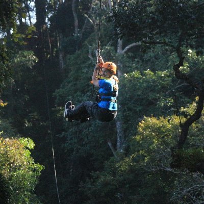 Profile Picture of Alex Foust (@alxnfou) on Twitter