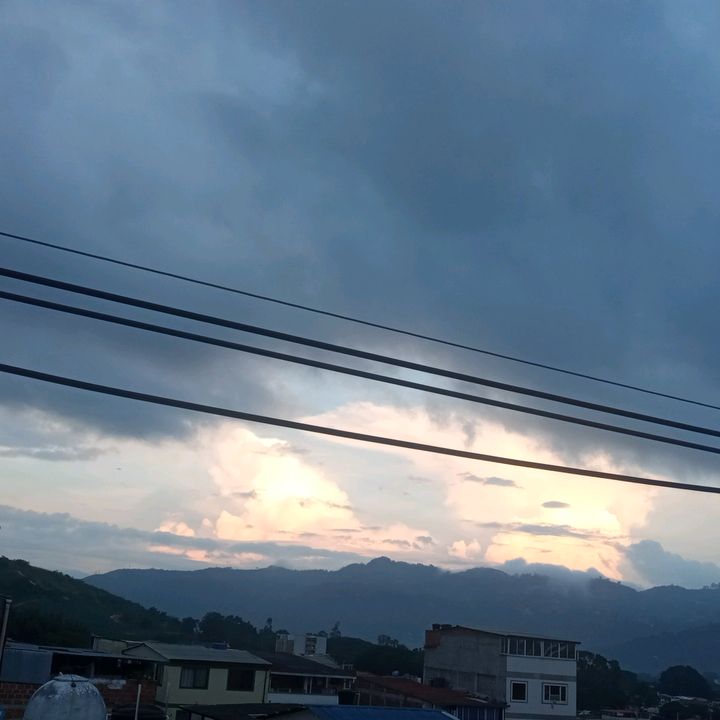 Baskerville - Tiktok Profile Picture of Baskerville (@baskervillefrida) on Tiktok