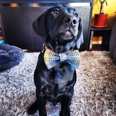 Profile Picture of Damien Bruce (@DamienBruce11) on Twitter