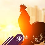 Profile Picture of Kudaquashe Jerome Mushayi (@kudaquashejeromez.samushayi) on Facebook