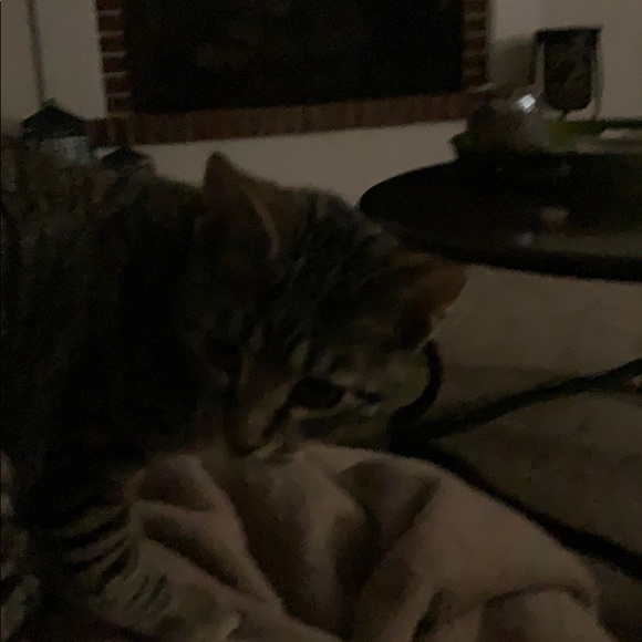 Profile Picture of Jacqueline Watkins (@jwatkins778) on Poshmark