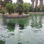 Profile Picture of محمد شاهینی (@mohammad.shahini.abadan) on Instagram