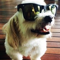 Profile Picture of Brett Charles (@brett-charles-12) on Quora