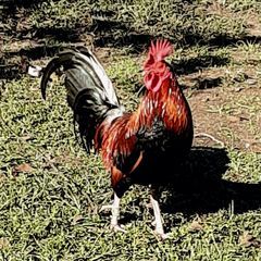 Profile Picture of Craig Ladner (@@craigladner0) on Tiktok