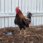 Profile Picture of Sean Privette (@privettesean) on Instagram