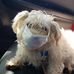 Profile Picture of Jerome Crum (@jerome.crum.754) on Facebook
