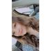 Profile Picture of Ashley Groskreutz (@ashley.a.groskreutz) on Facebook