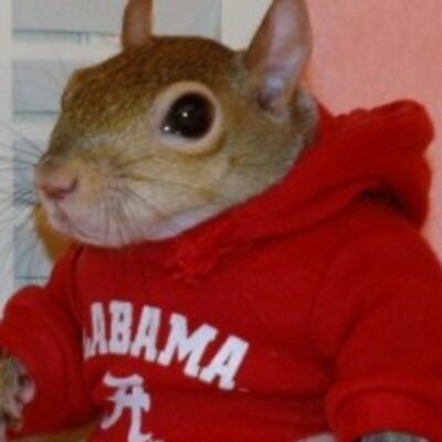 Profile Picture of Gary Godwin (@GodwinGary) on Twitter