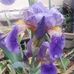 Profile Picture of Nancy DuVall (Nancy and John DuVall) (@nancy.duvall.925) on Facebook