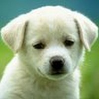 Profile Picture of Isabelle Hamilton (@isabelle-hamilton) on Quora