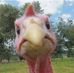 Profile Picture of John Difenderfer (@john.difenderfer.5) on Facebook