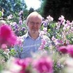 Profile Picture of Roger Parsons Sweet Peas (@roger_parsons) on Instagram