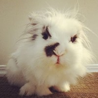 Profile Picture of Isaraporn T (@isaraporn-t) on Quora