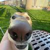 Profile Picture of LukeDunstan (@spectrum_dawg) on Tiktok