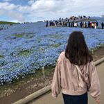 Mio Hayashi - Instagram Profile Picture of Mio Hayashi (@mio_pspecl) on Instagram