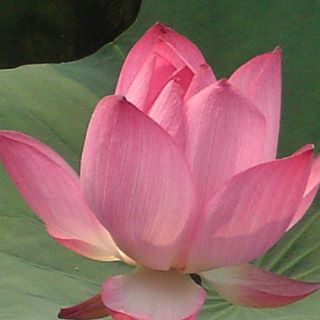 Profile Picture of Daniel Malenfant (@daniel.malenfant.94) on Facebook