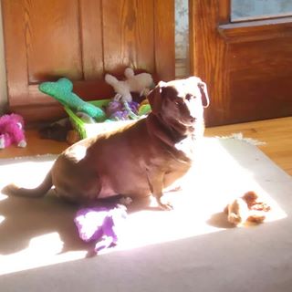 Profile Picture of Leonard Carl (@leonard.carl.98) on Facebook