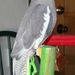Profile Picture of Barbara Hylton (@georgie987) on Pinterest