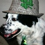 Profile Picture of kevinlinnane_13 (@kevinlinnane_13) on Instagram