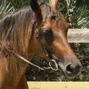 Profile Picture of Nellie Hayes (@hayes8000) on Pinterest