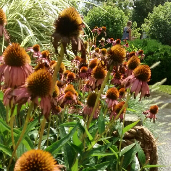 Profile Picture of Beth Demske (@sigimaedchen) on Poshmark