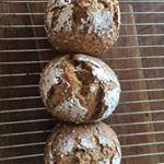 Profile Picture of Michael Wenzinger (@wenzingermichael) on Instagram