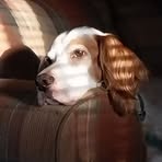 Profile Picture of Eric Wightman (@eric.wightman.147695) on Facebook