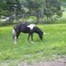 Profile Picture of Brenda Burkett (@brenda.burkett.39) on Facebook