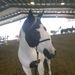 Profile Picture of Haley Kenny (@haleykenny2012) on Pinterest