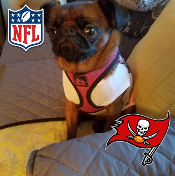 Profile Picture of Dawn Clements (@dawnclements543) on Poshmark