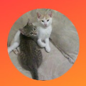 Profile Picture of Keith Milton (@keithmilton5561) on Youtube