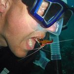 Profile Picture of Todd Mullins (@mullins.t) on Instagram