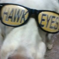 Profile Picture of Jerry Cooper (@jerry-cooper-38) on Quora