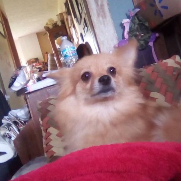 Profile Picture of Logan Bledsoe (@lo2bled) on Poshmark