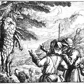 Profile Picture of Erica Wolfe (@mamawolfe) on Pinterest