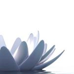 Profile Picture of Jody Mello (@jmello.heartinbirthmidwifery) on Instagram