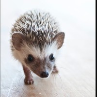 Profile Picture of Leilani Hess-larsen (@leilani-hess-larsen) on Quora