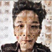 Profile Picture of Brandon Tay (@brandon-tay-12) on Quora