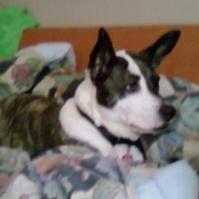 Profile Picture of James Louis Belmer (@JamesBelmer) on Twitter