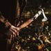 Profile Picture of Axe Man (Viking Axe store) (@axe.man.125323) on Facebook